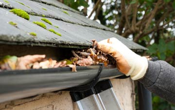 gutter cleaning Capel Curig, Conwy